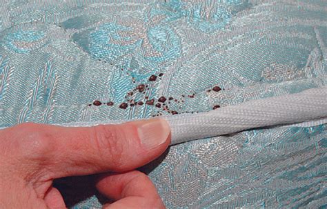 Mattress How To Tell If You Have Bed Bugs